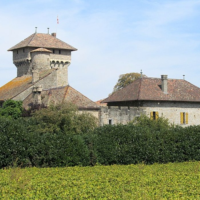 Photo de Château dAvully