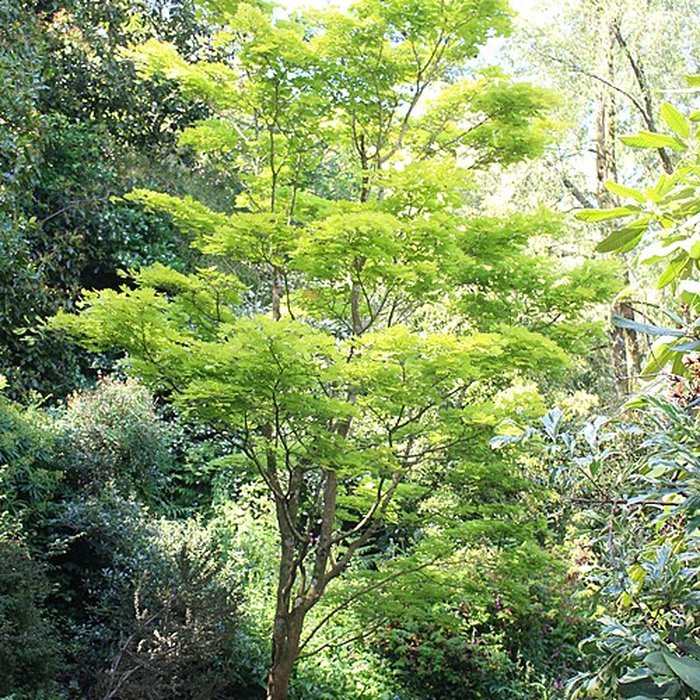 Photo de Jardin botanique de la Roche Fauconnière