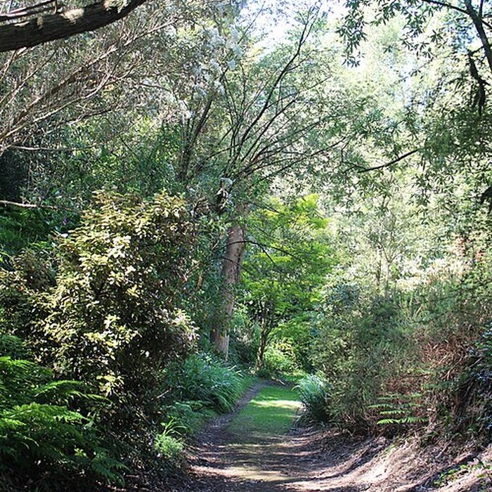 Photo de Jardin botanique de la Roche Fauconnière