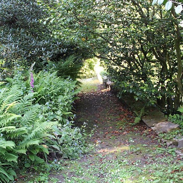 Photo de Jardin botanique de la Roche Fauconnière