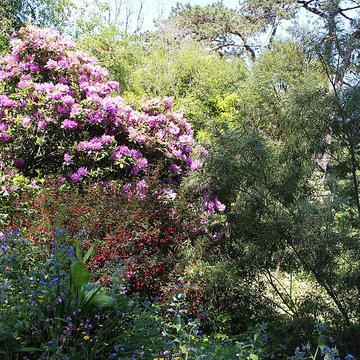 Jardin botanique de la Roche Fauconnière