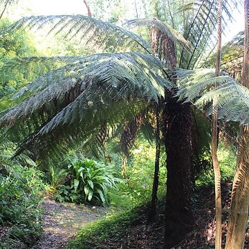 Jardin botanique de la Roche Fauconnière