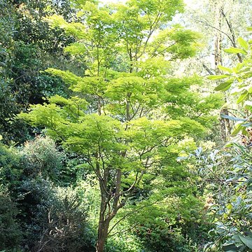 Jardin botanique de la Roche Fauconnière