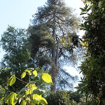 Jardin botanique de la Roche Fauconnière