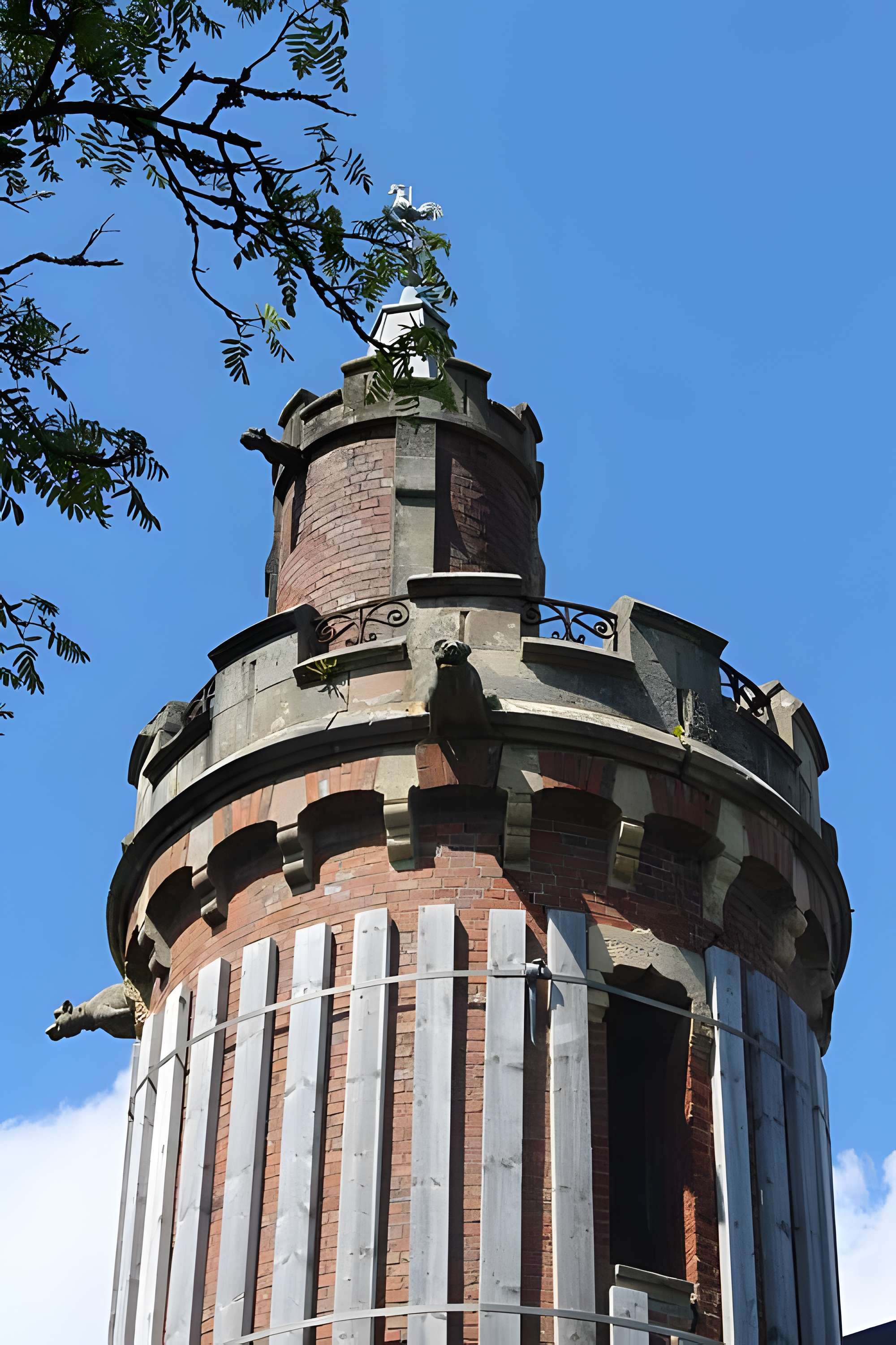 Jardin botanique de la Roche Fauconnière