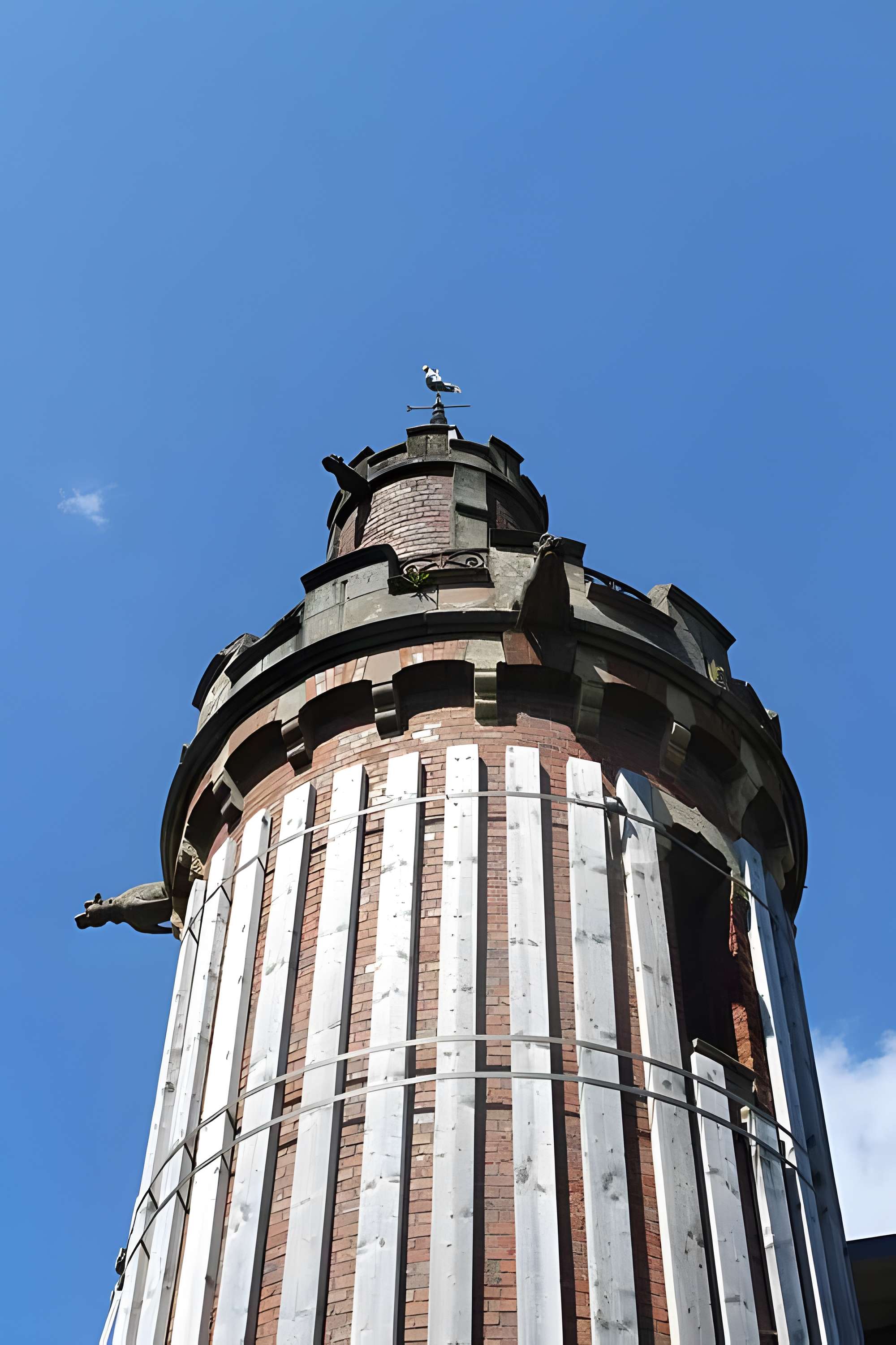 Jardin botanique de la Roche Fauconnière