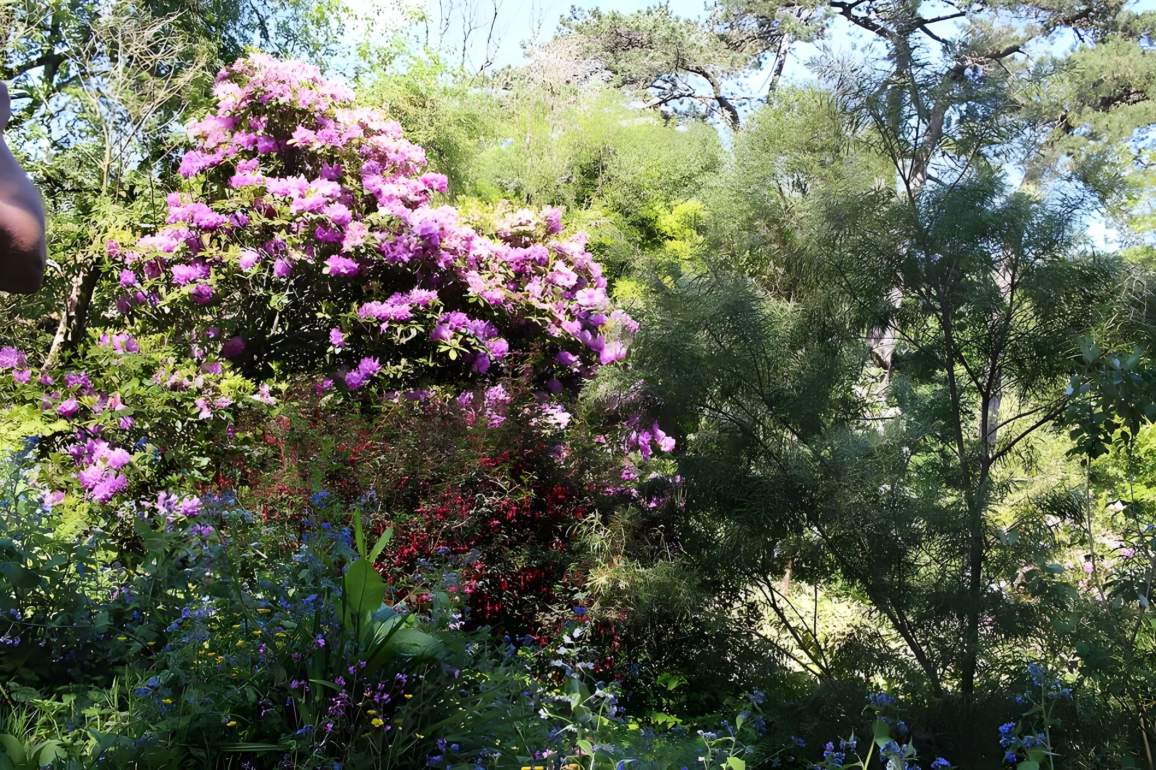 Jardin botanique de la Roche Fauconnière