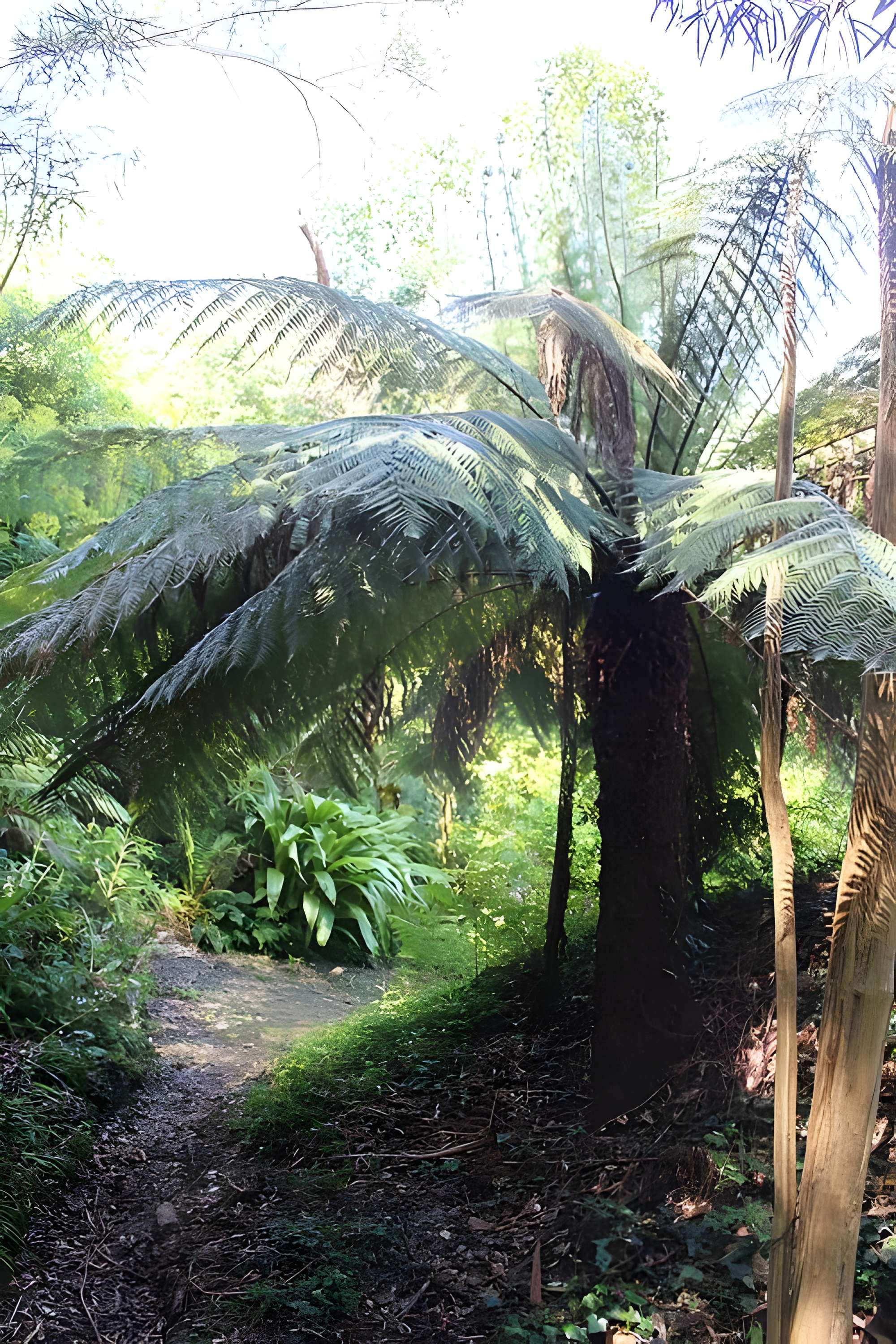 Jardin botanique de la Roche Fauconnière