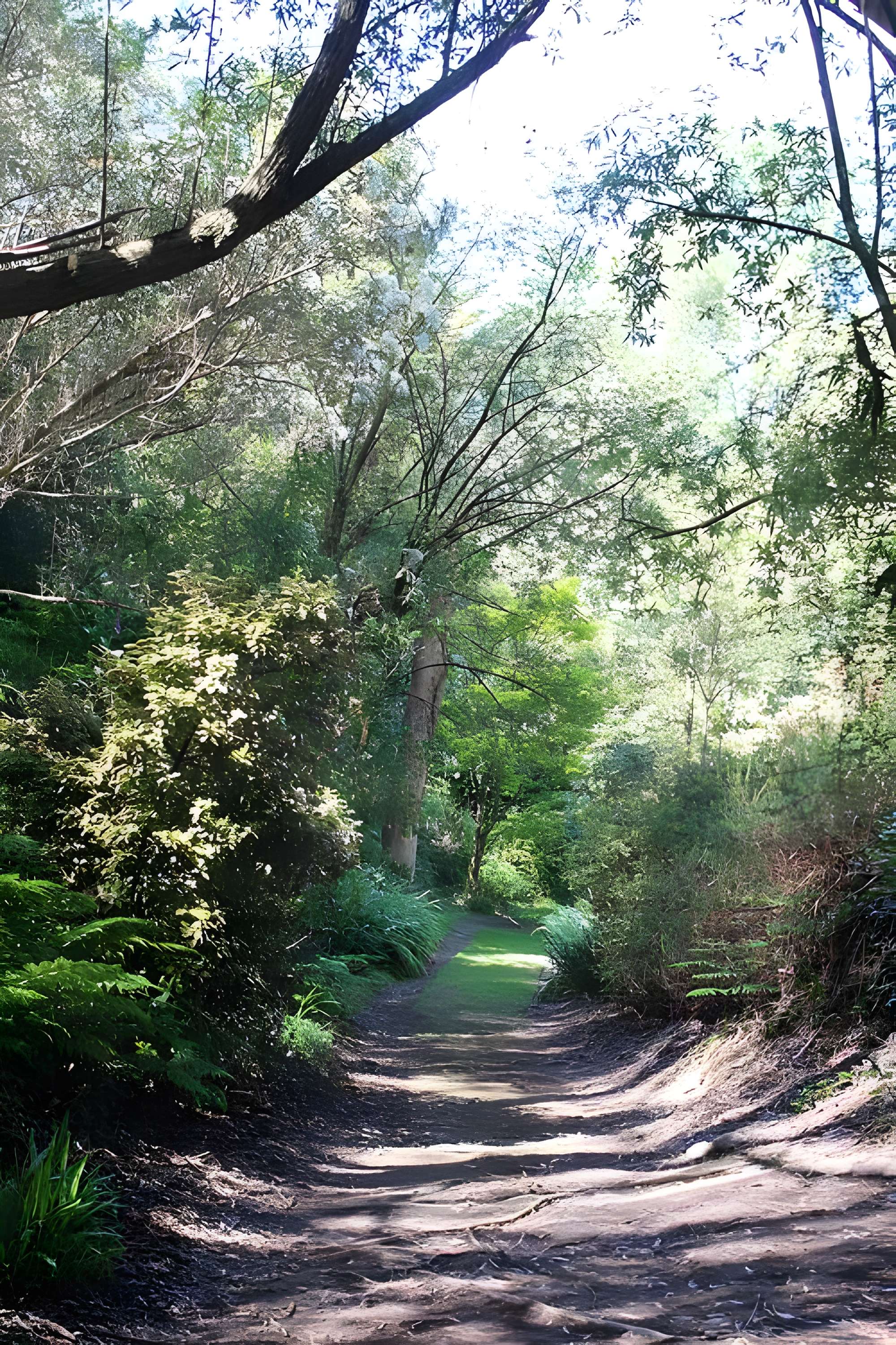 Jardin botanique de la Roche Fauconnière