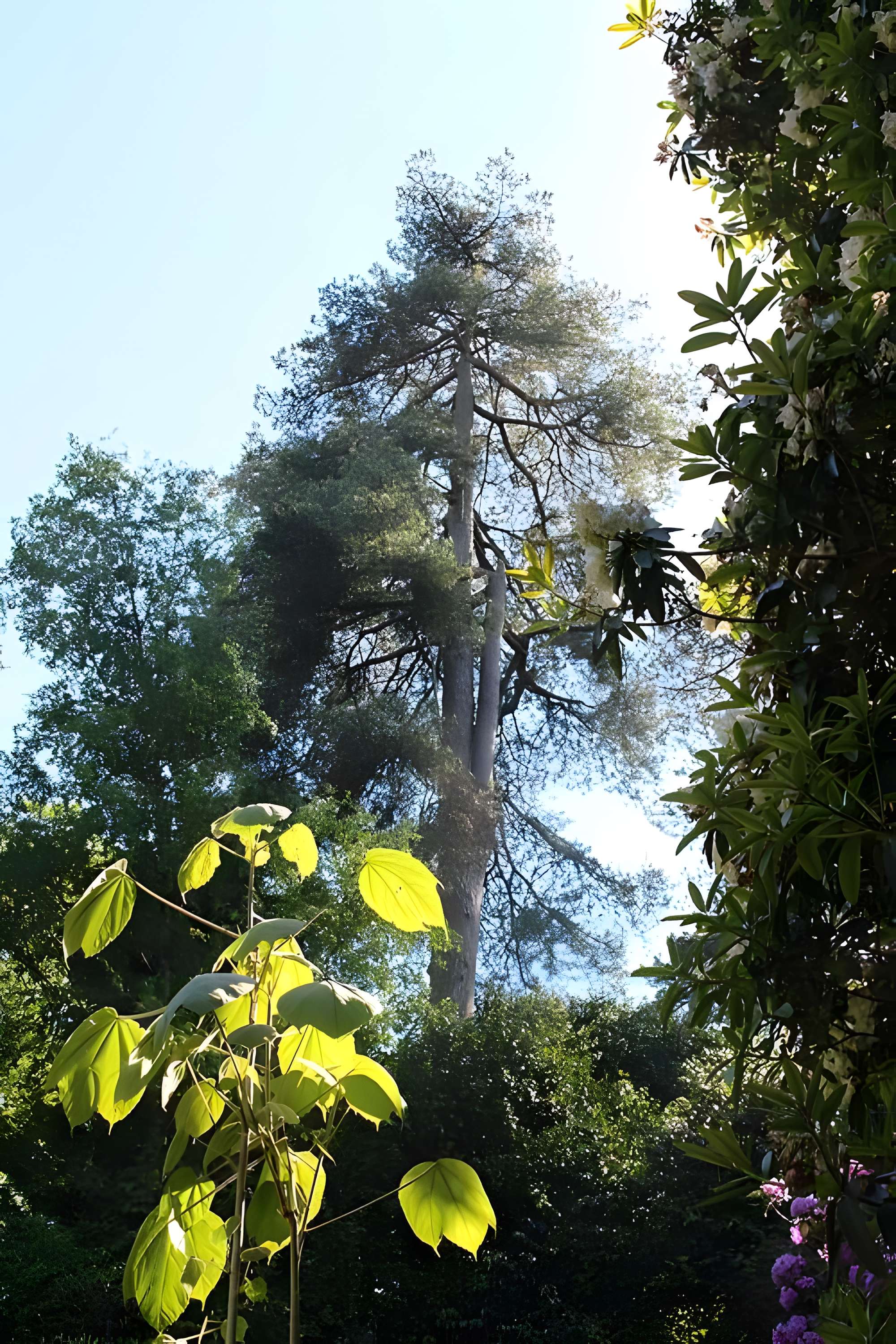 Jardin botanique de la Roche Fauconnière