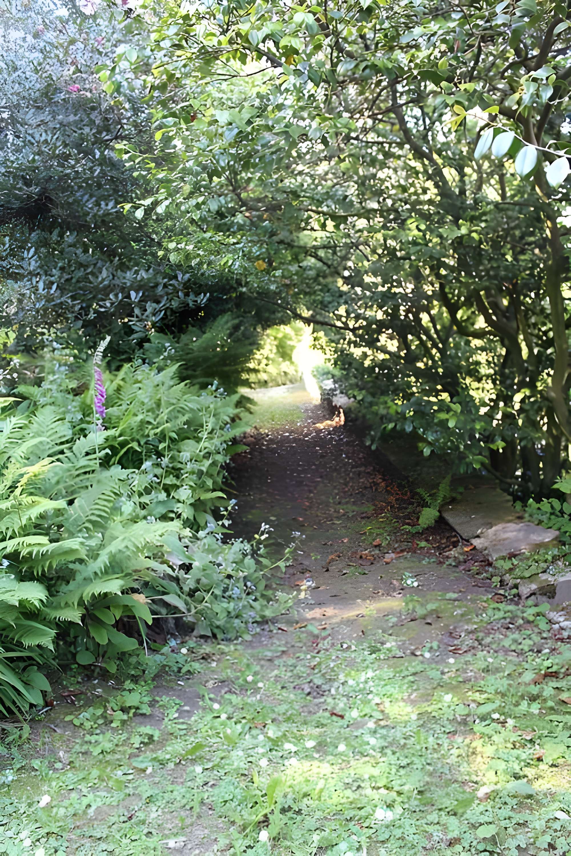 Jardin botanique de la Roche Fauconnière