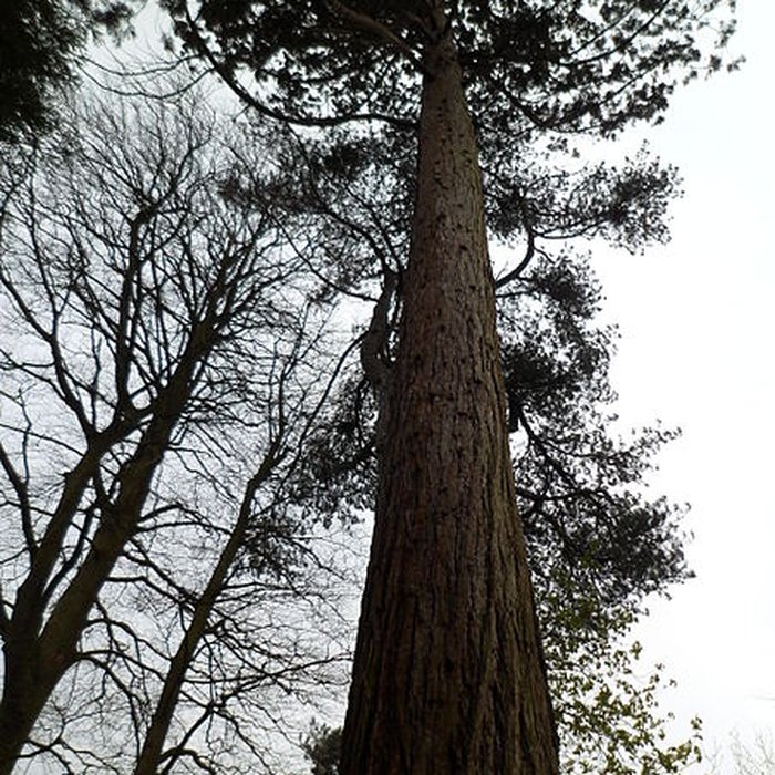 Photo de Jardin public