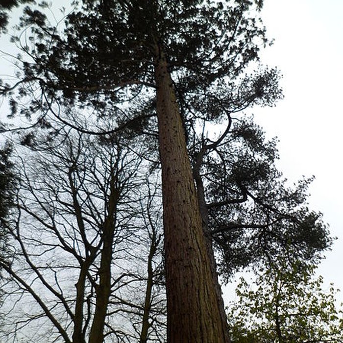 Photo de Jardin public