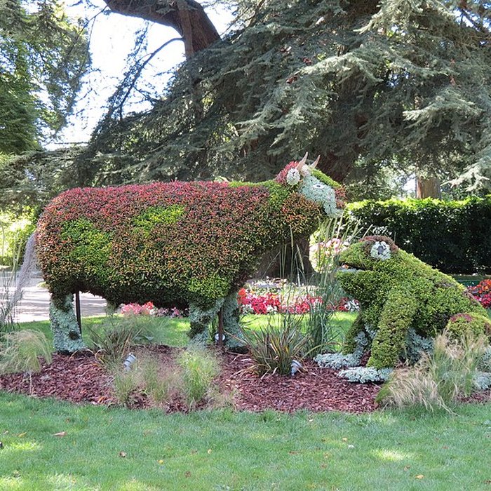 Photo de Jardin public