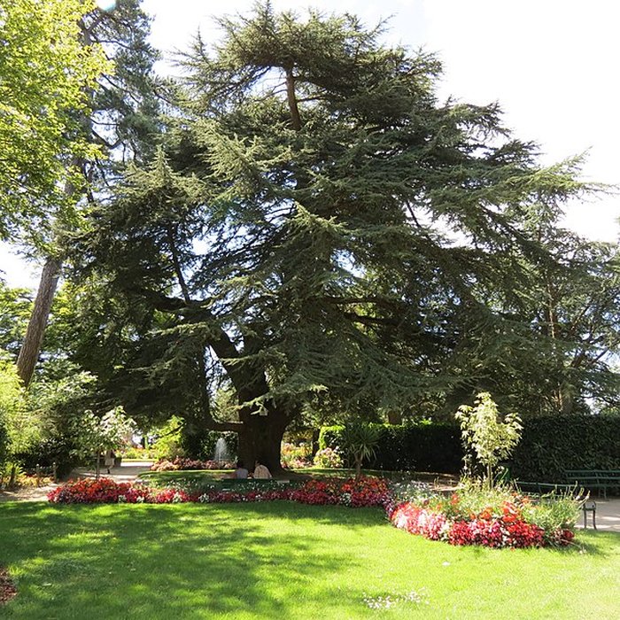 Photo de Jardin public