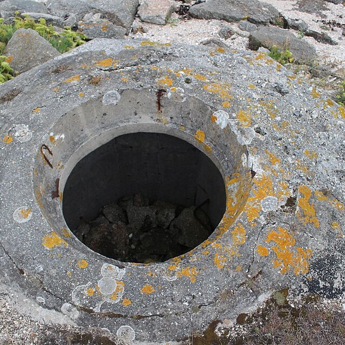 Photo de Nid de résistance Wn. 123