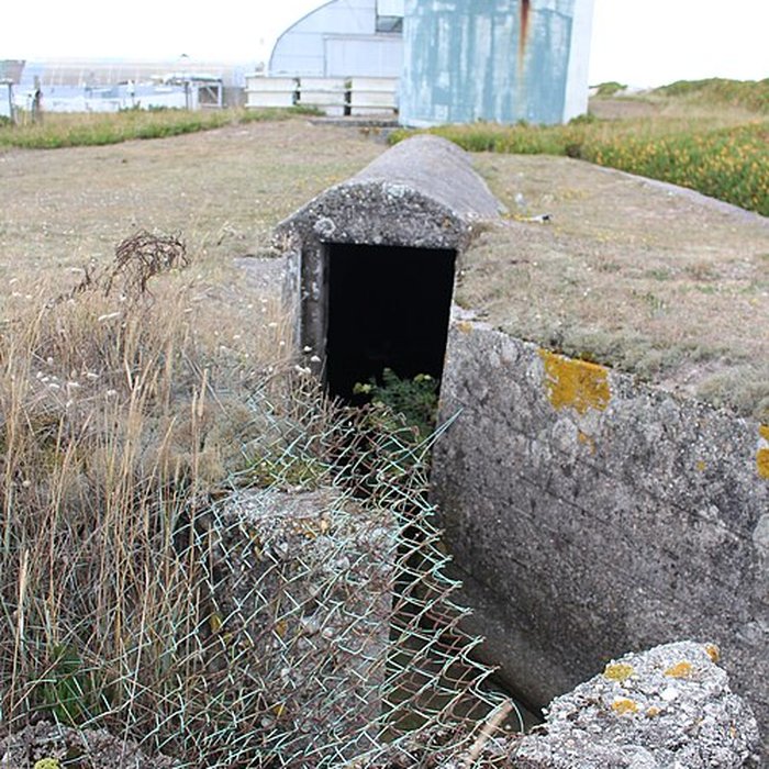 Photo de Nid de résistance Wn. 123