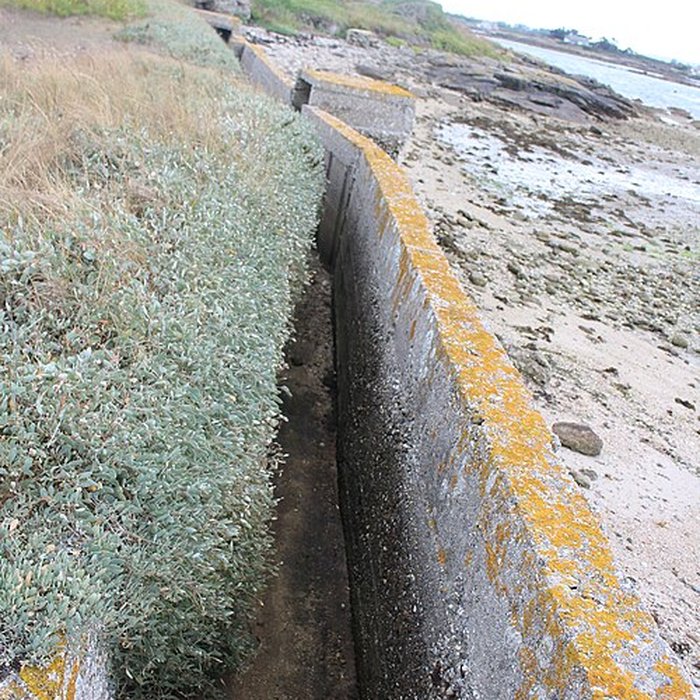 Photo de Nid de résistance Wn. 123