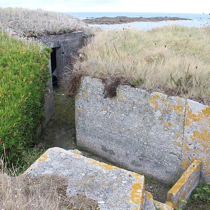 Photo de Nid de résistance Wn. 123