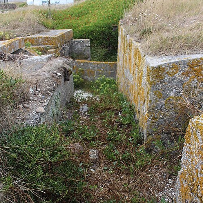 Photo de Nid de résistance Wn. 123