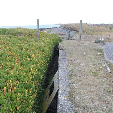 Nid de résistance Wn. 123