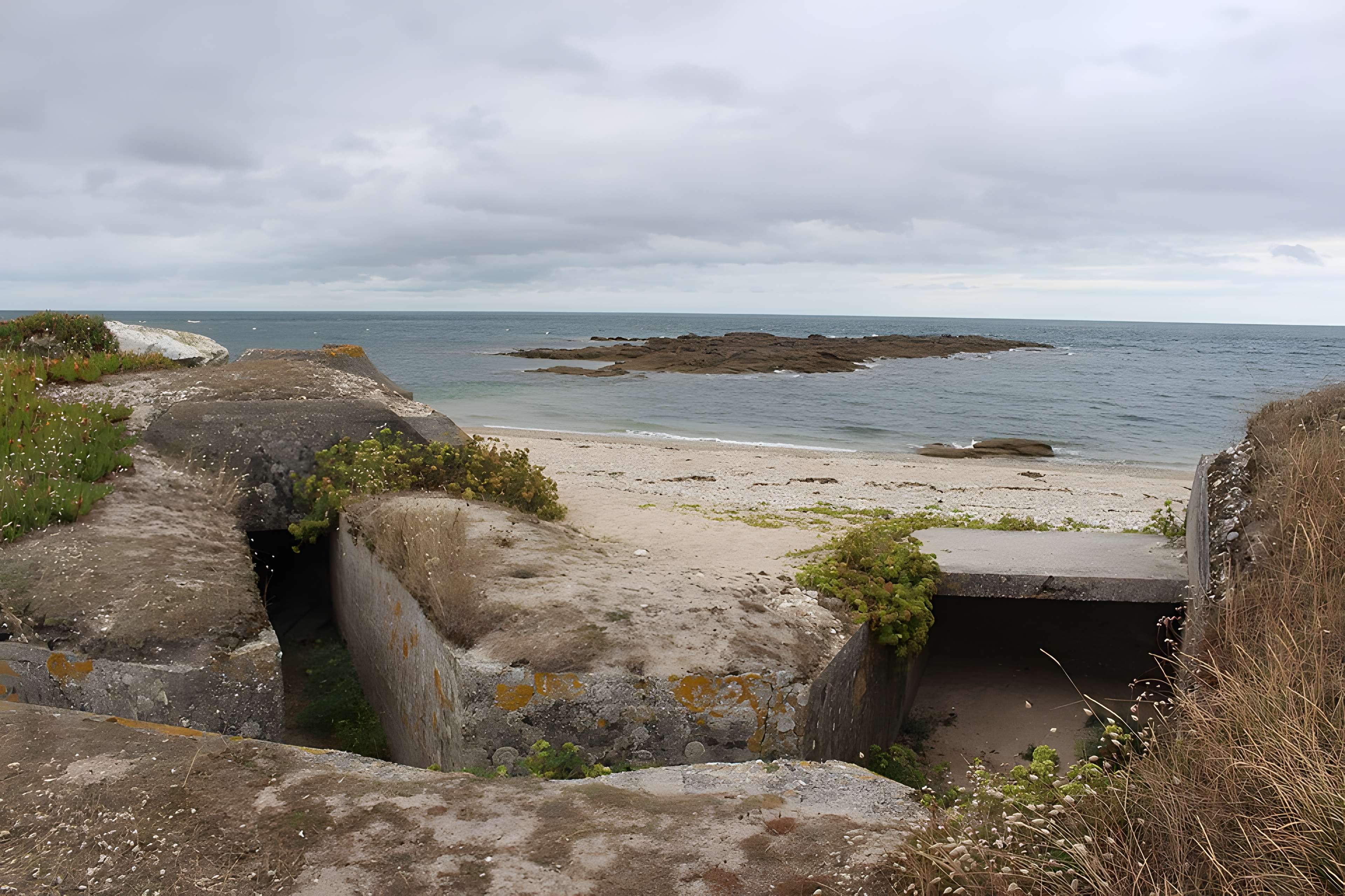 Nid de résistance Wn. 123