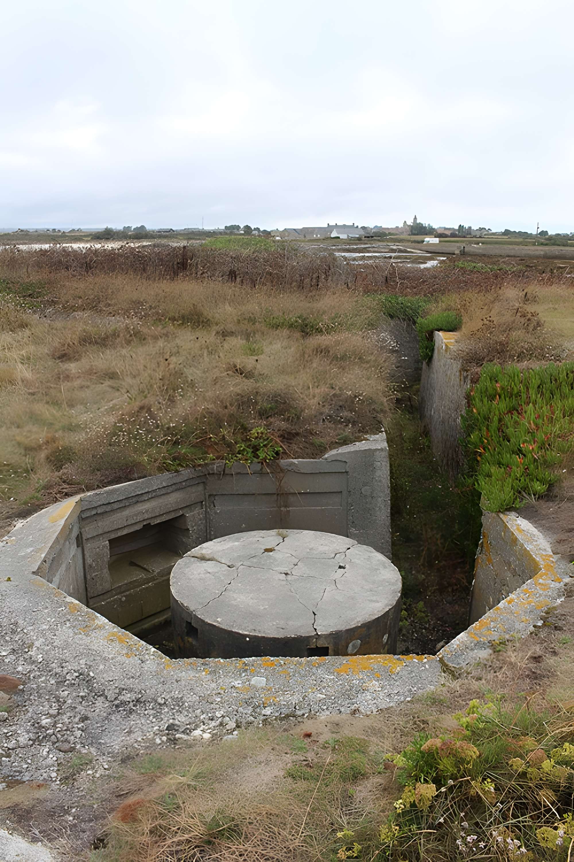 Nid de résistance Wn. 123