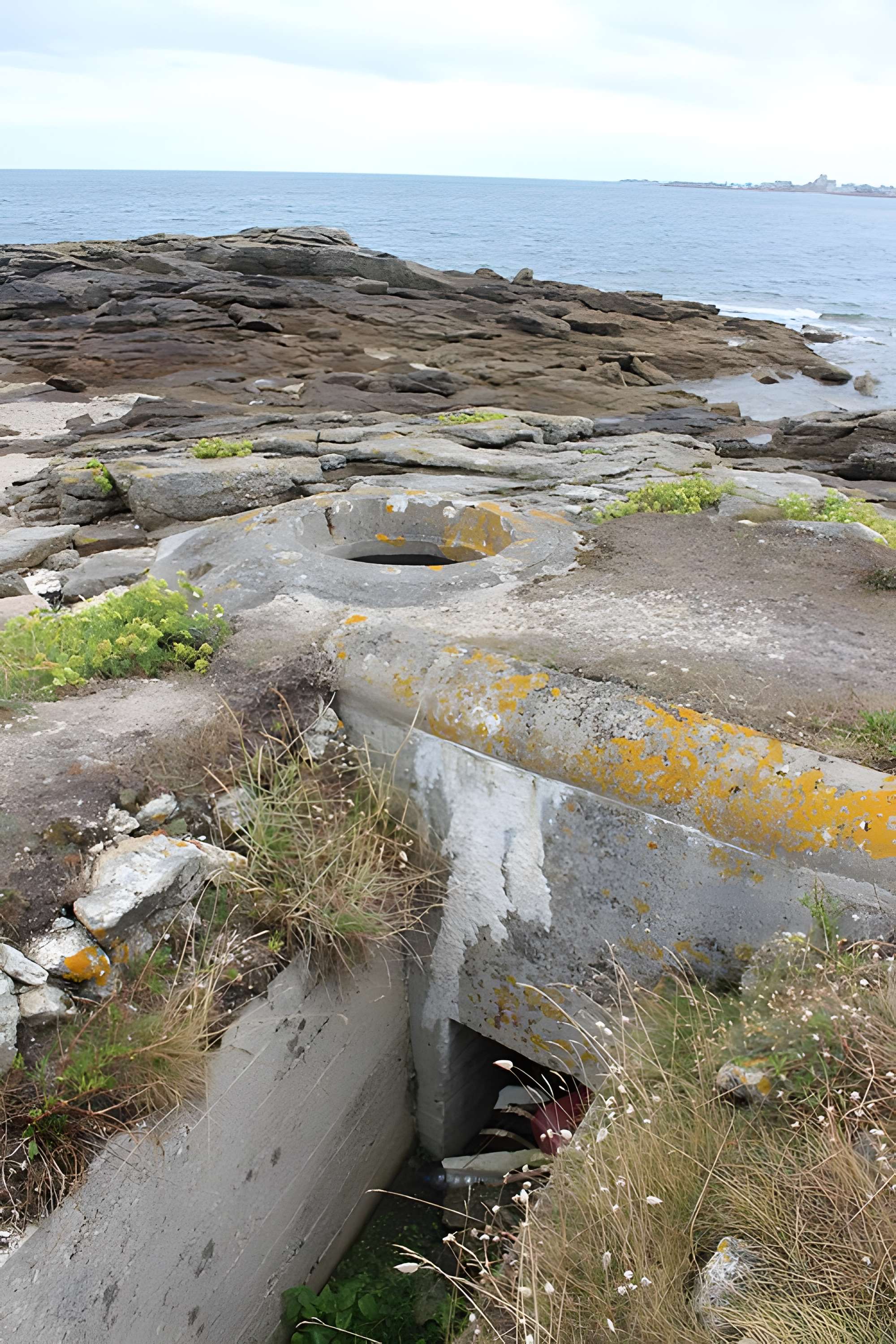 Nid de résistance Wn. 123