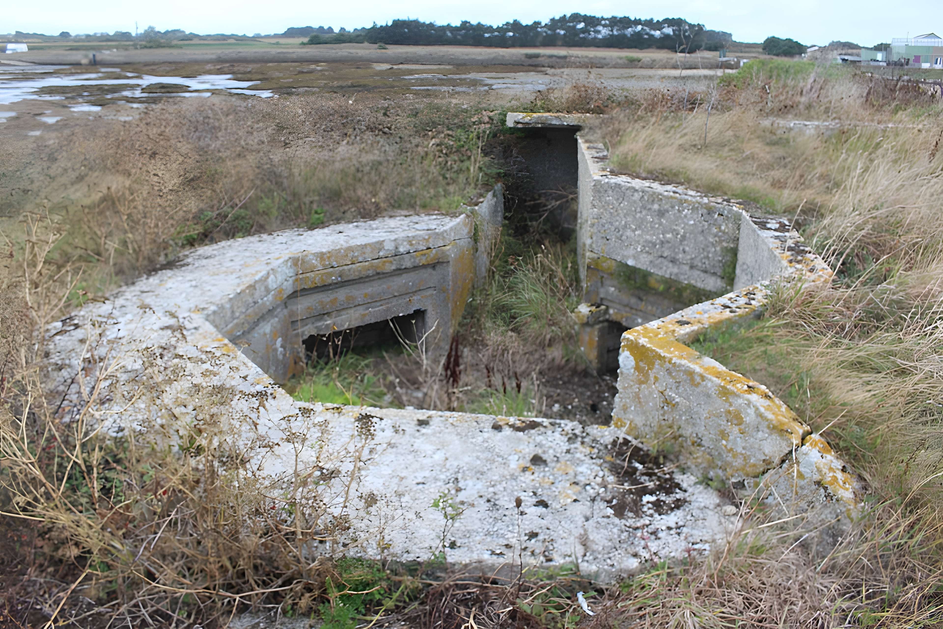 Nid de résistance Wn. 123