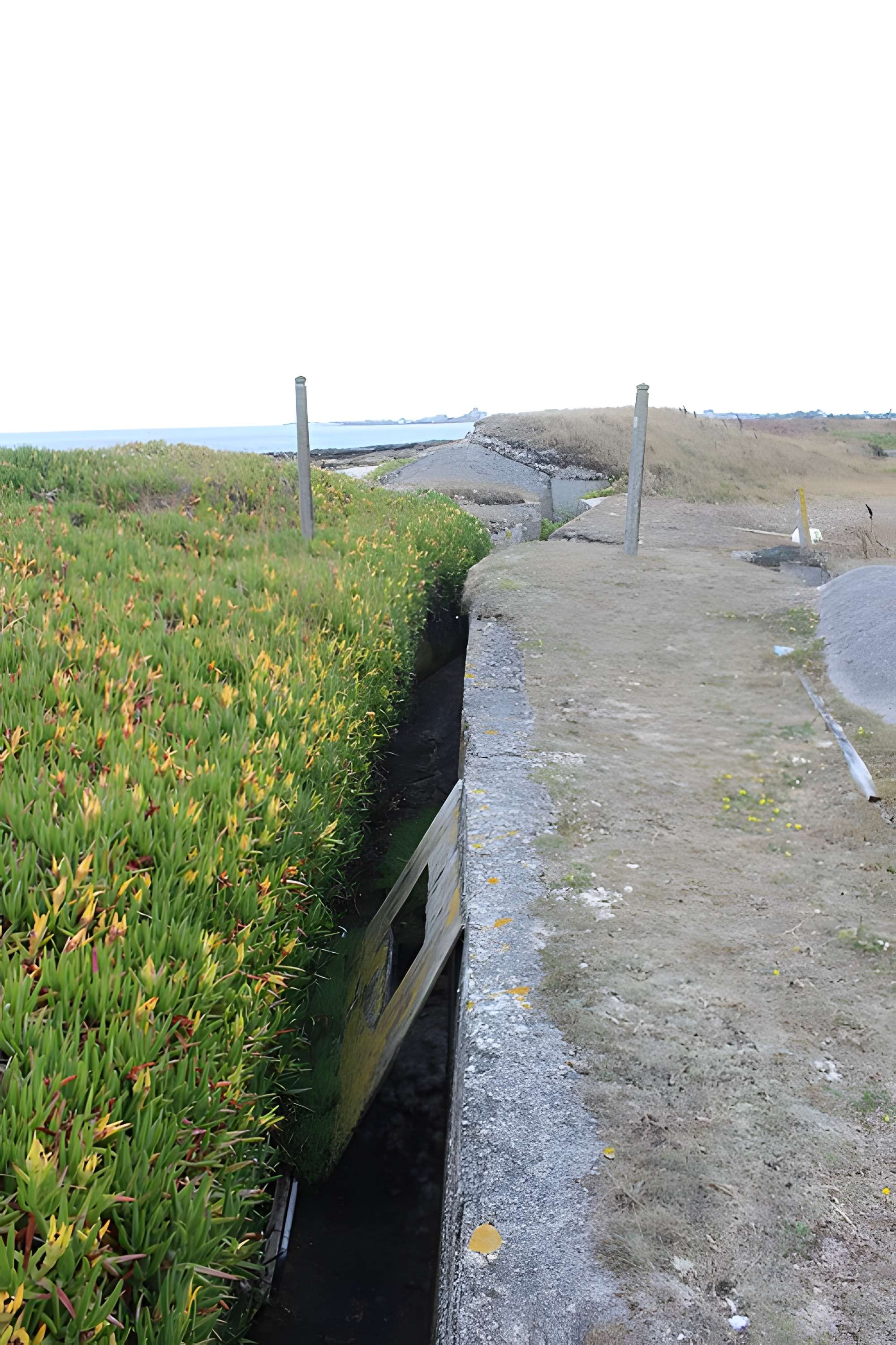 Nid de résistance Wn. 123