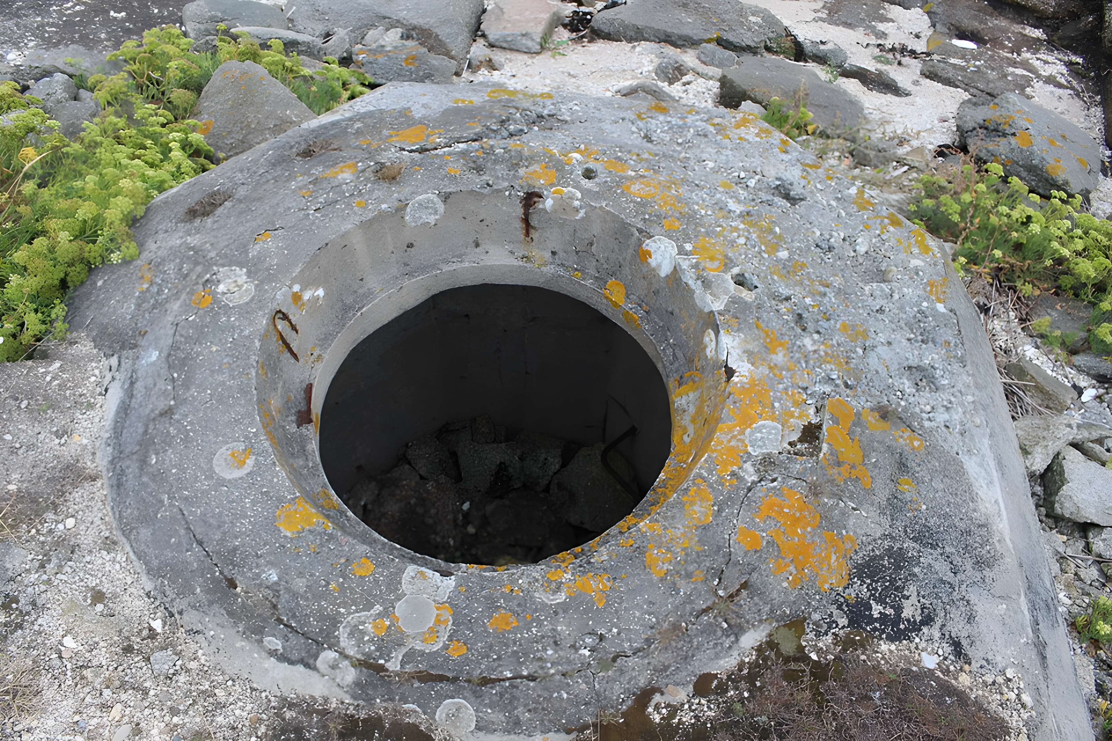 Nid de résistance Wn. 123