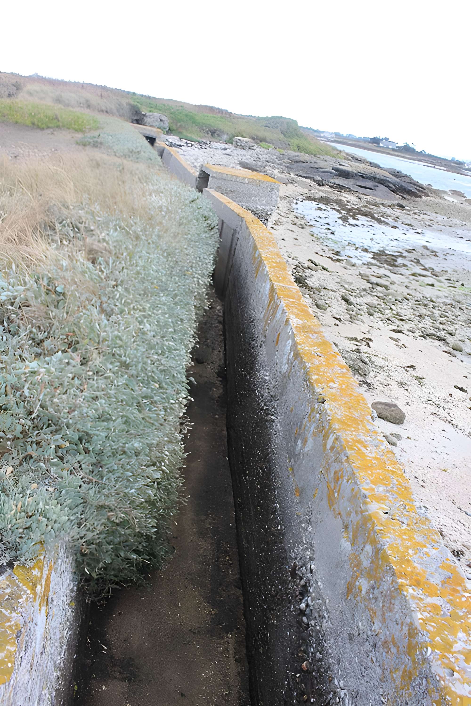 Nid de résistance Wn. 123