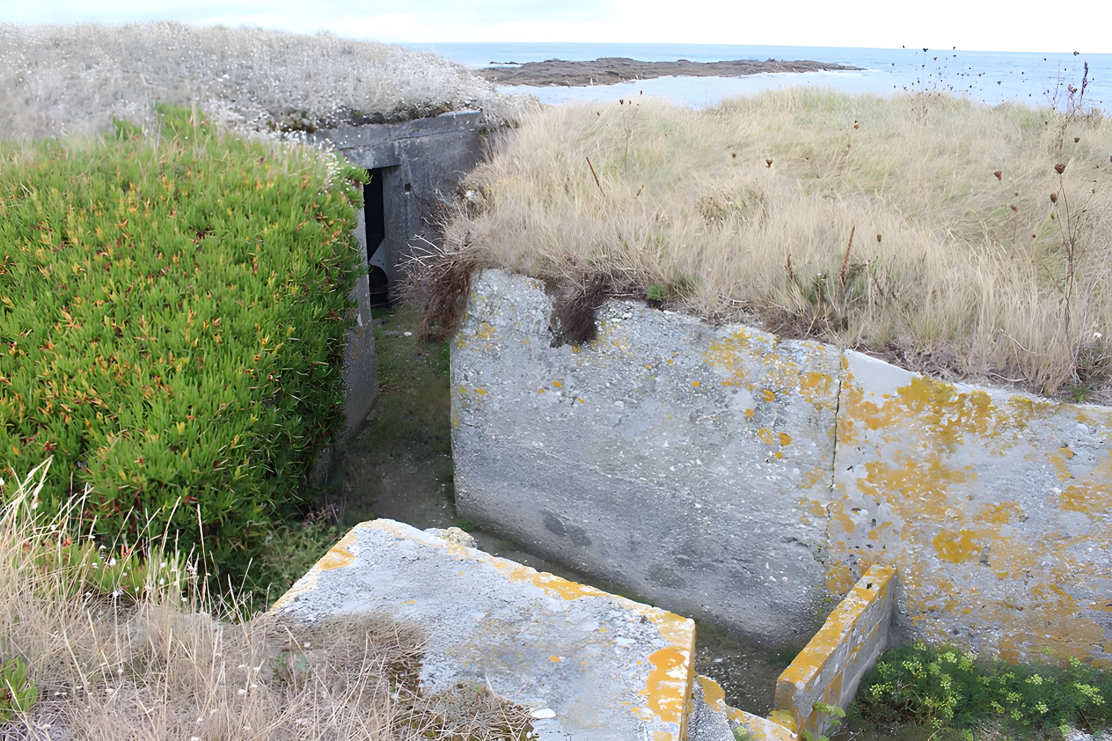 Nid de résistance Wn. 123