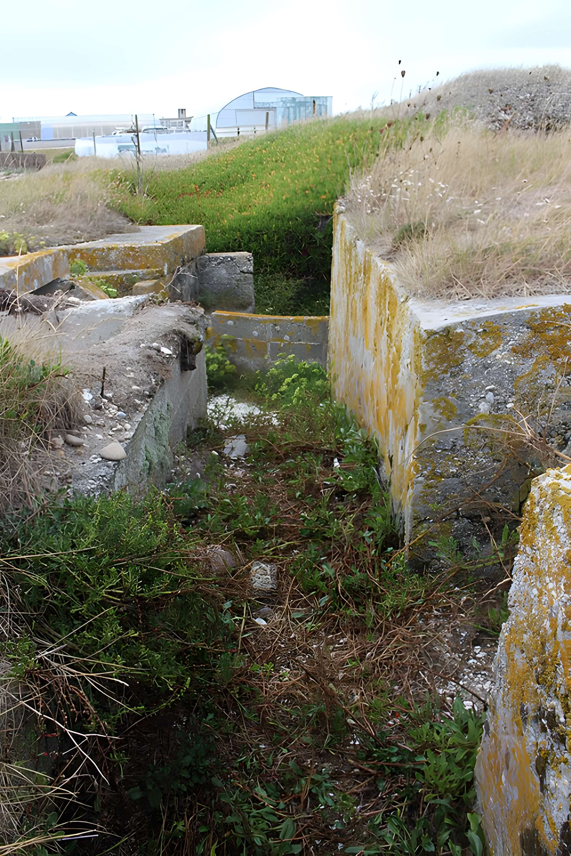 Nid de résistance Wn. 123