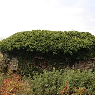 Batterie anti-aérienne d’Auderville-la-Roche et La Valette