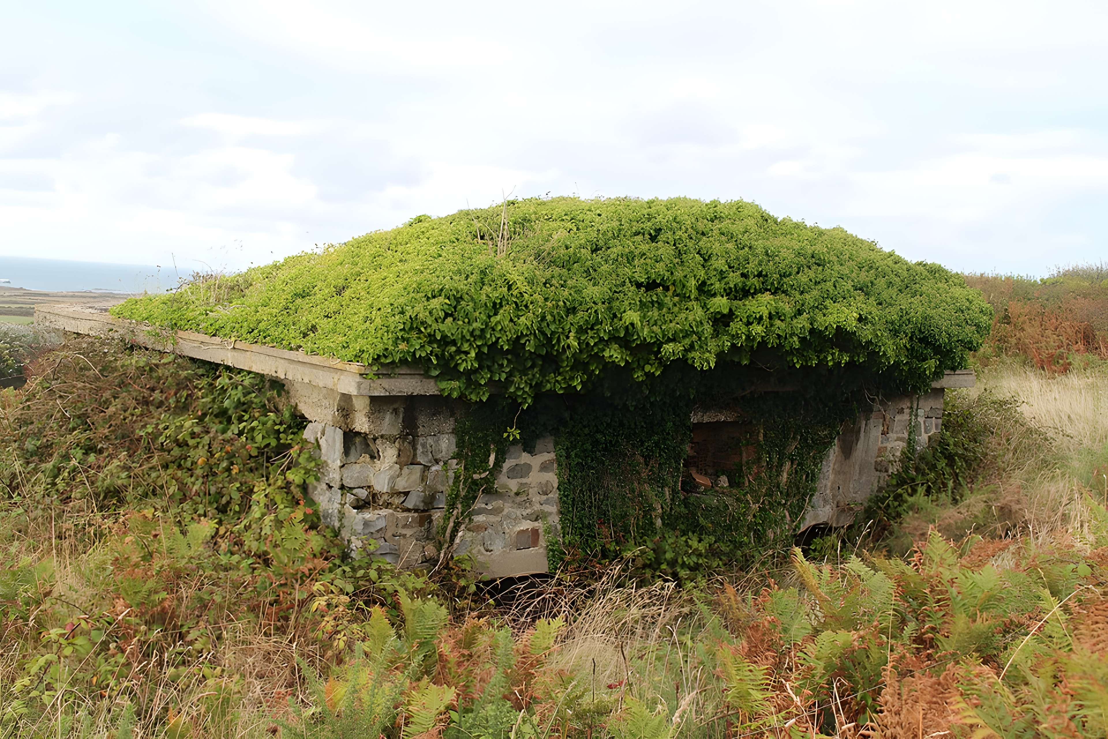 Batterie anti-aérienne d’Auderville-la-Roche et La Valette
