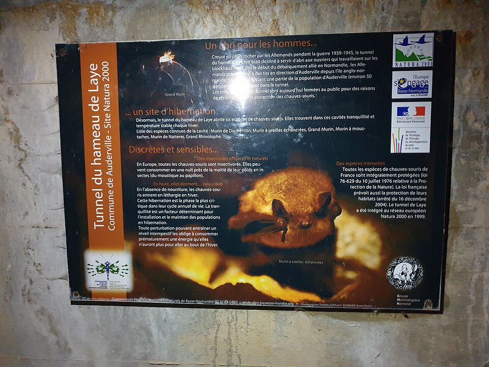 Batterie d’artillerie côtière d’Auderville-Laye