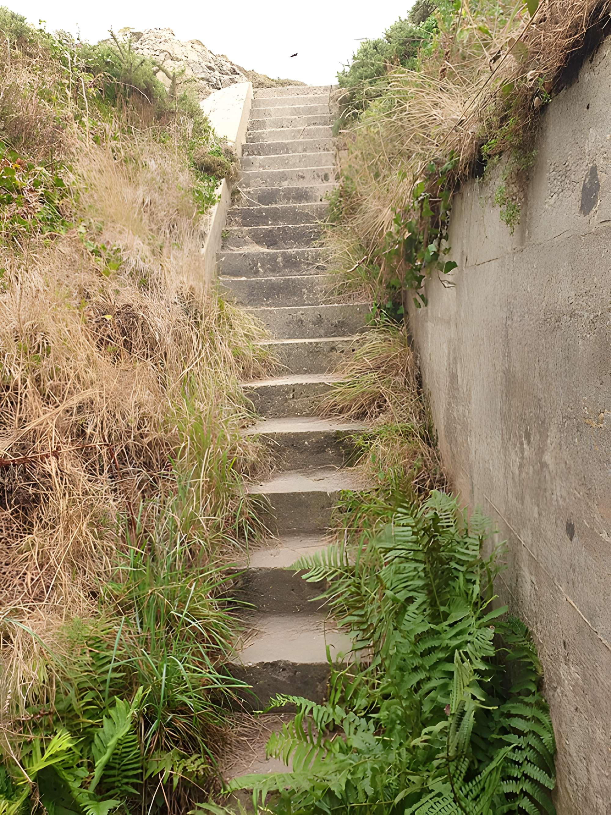 Batterie d’artillerie côtière d’Auderville-Laye