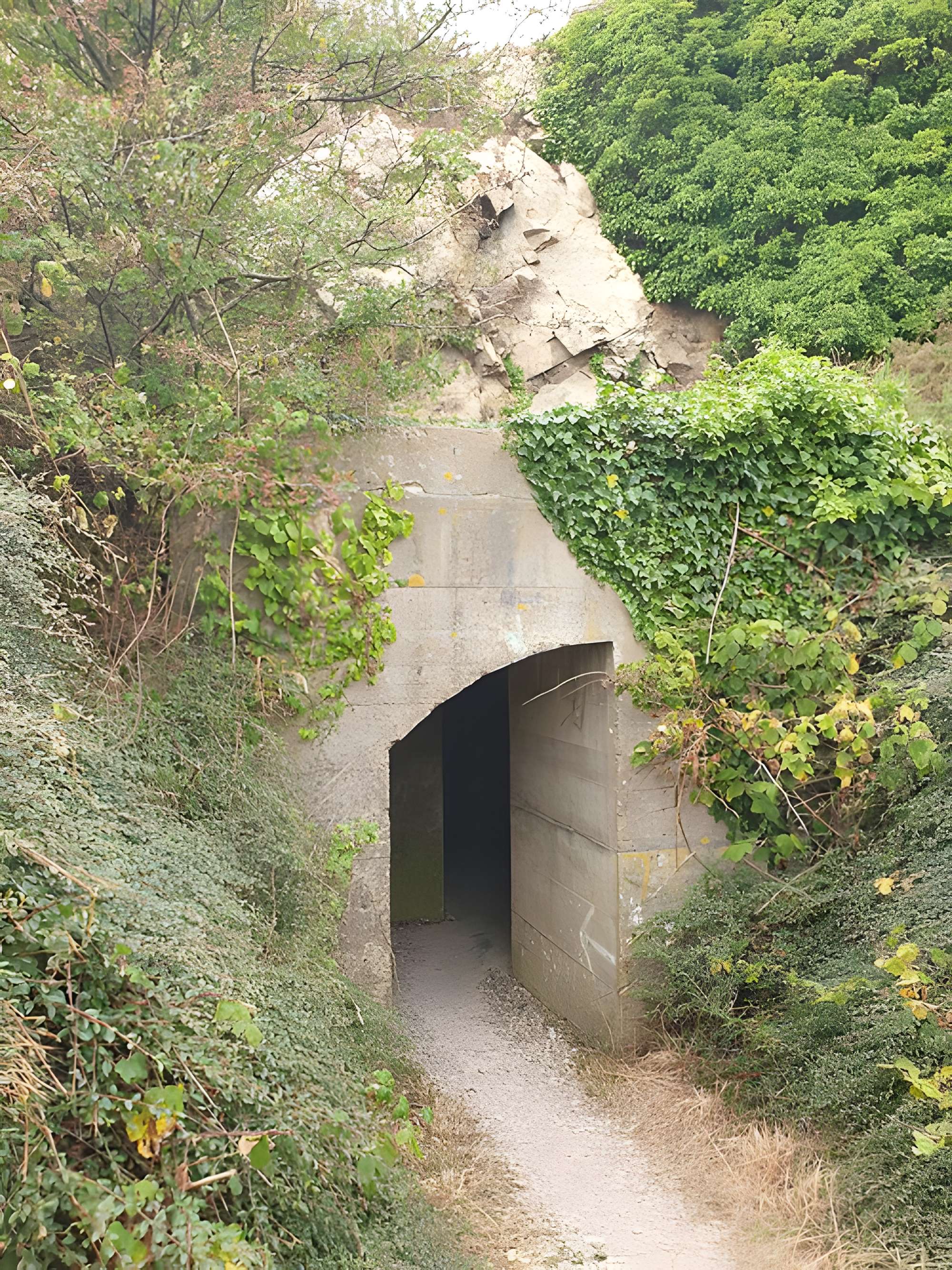 Batterie d’artillerie côtière d’Auderville-Laye