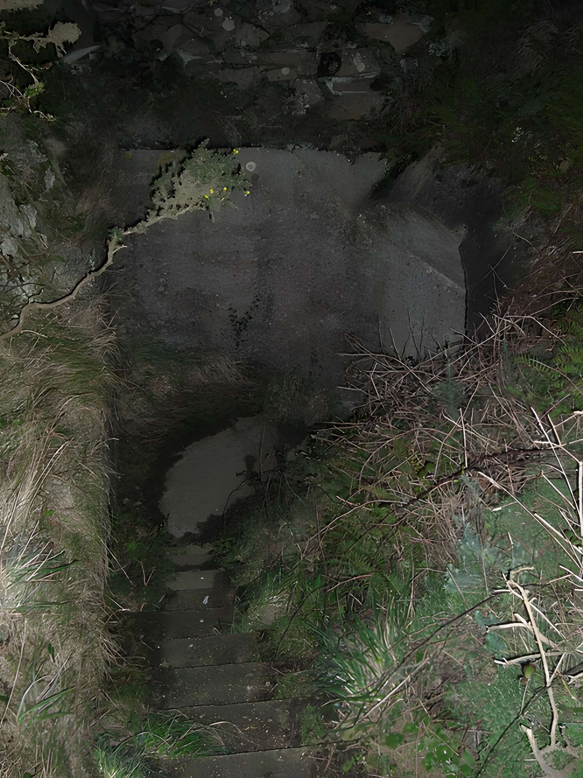 Batterie d’artillerie côtière d’Auderville-Laye