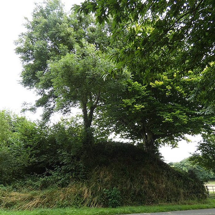 Photo de Domaine de Nacqueville également sur commune de Querqueville