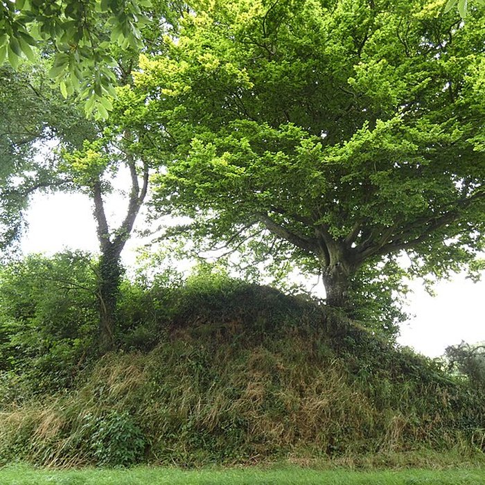Photo de Domaine de Nacqueville également sur commune de Querqueville