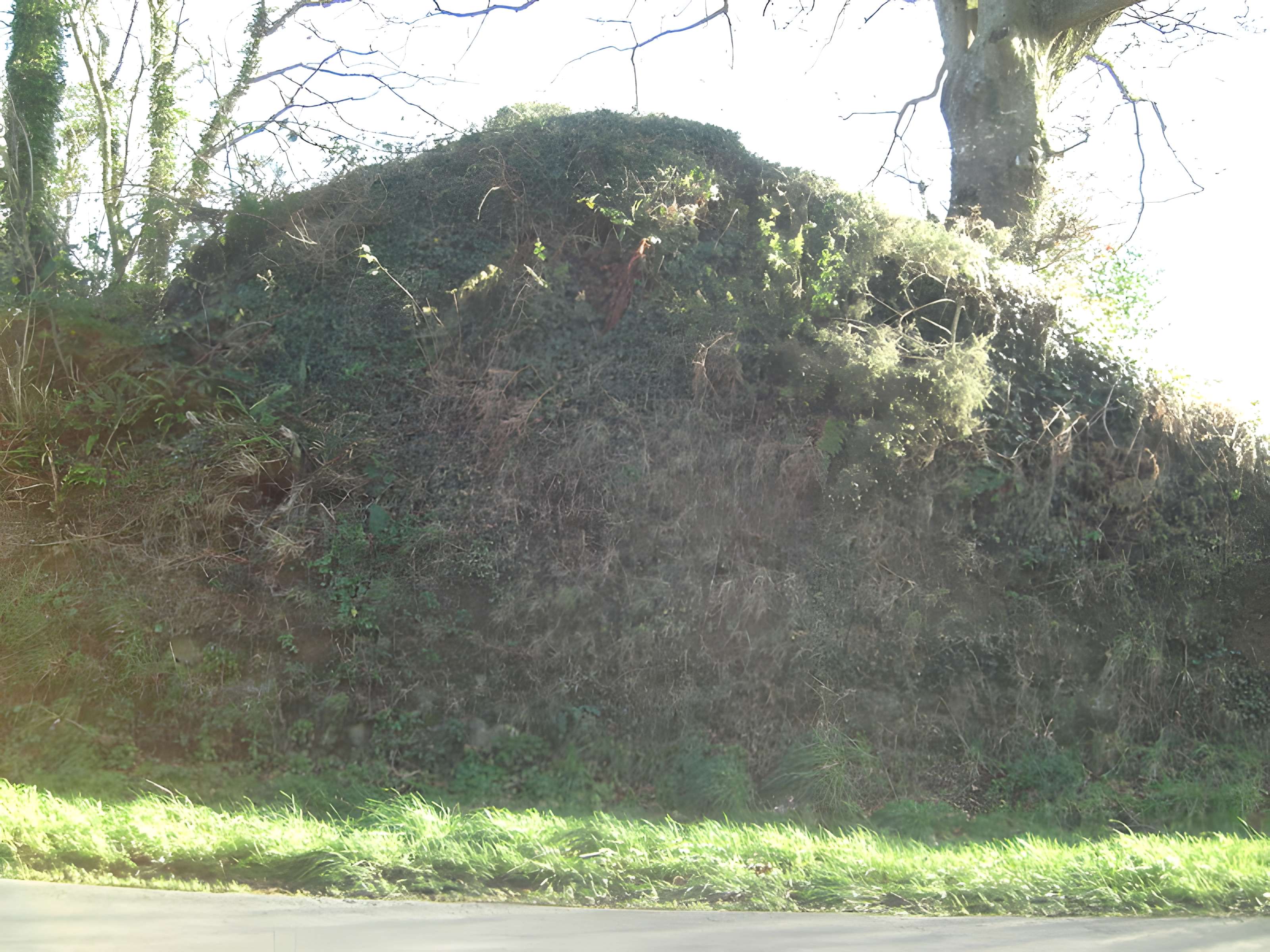 Domaine de Nacqueville (également sur commune de Querqueville)