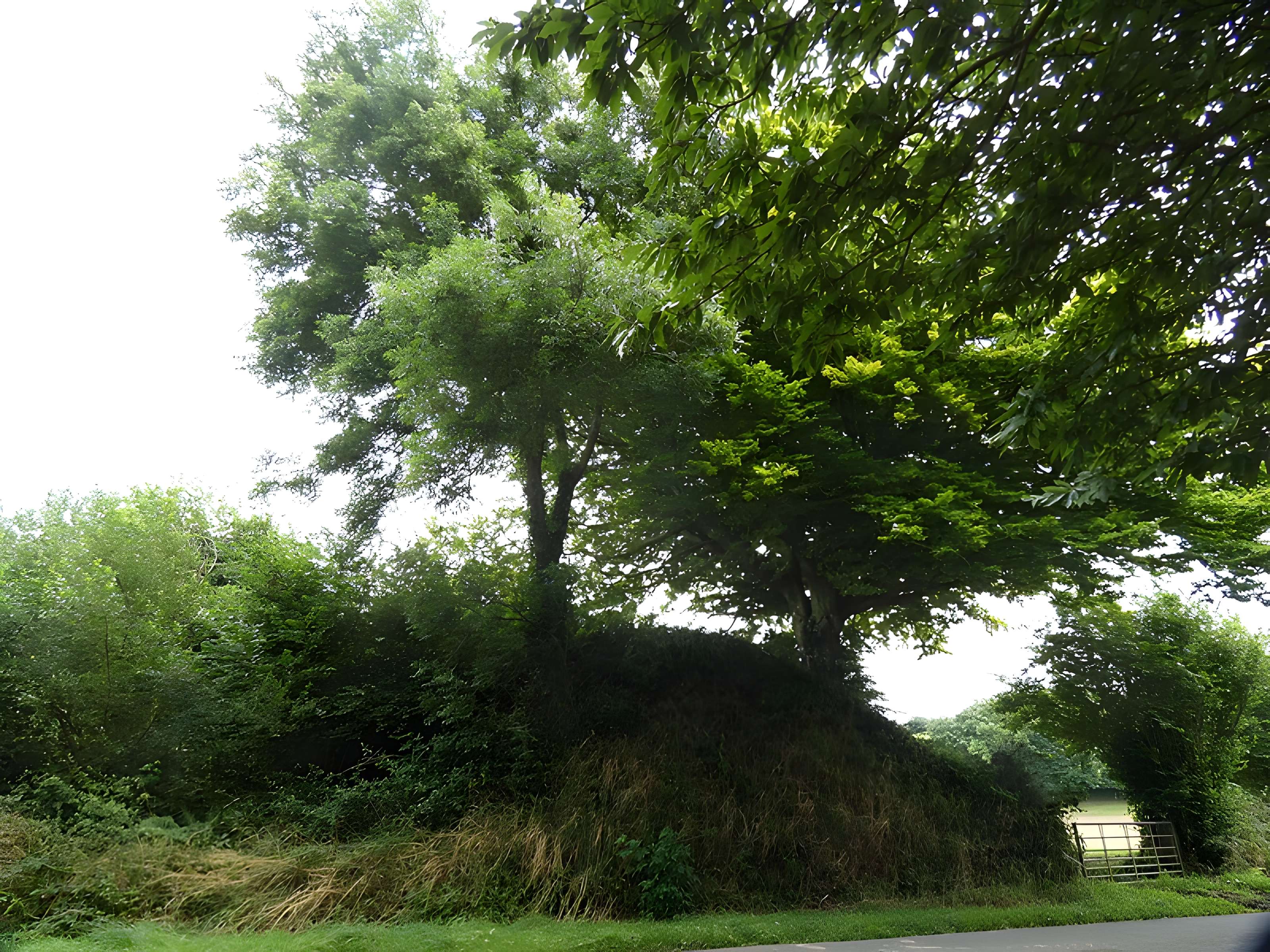 Domaine de Nacqueville (également sur commune de Querqueville)