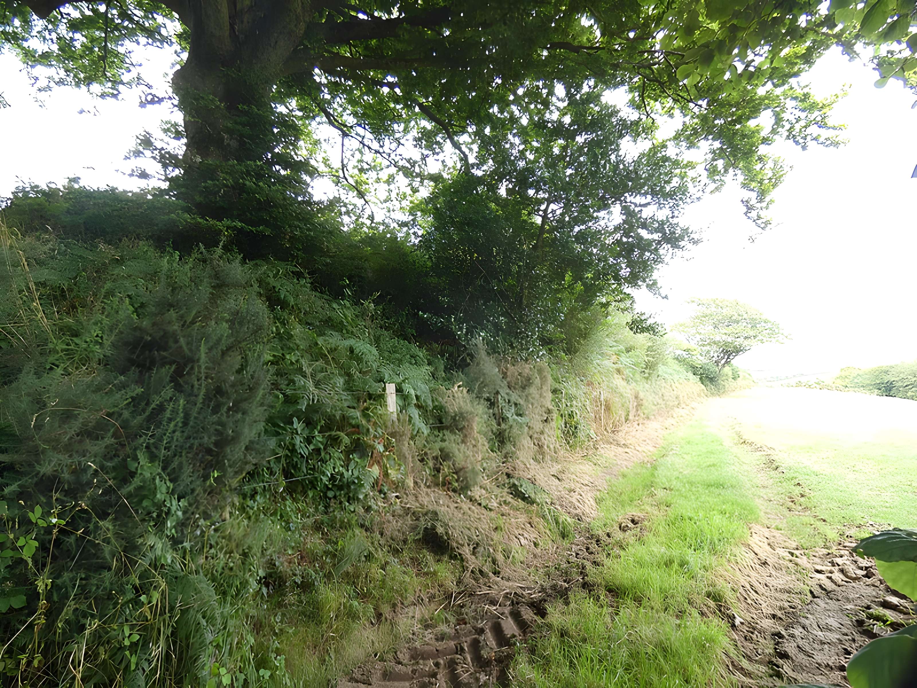 Domaine de Nacqueville (également sur commune de Querqueville)