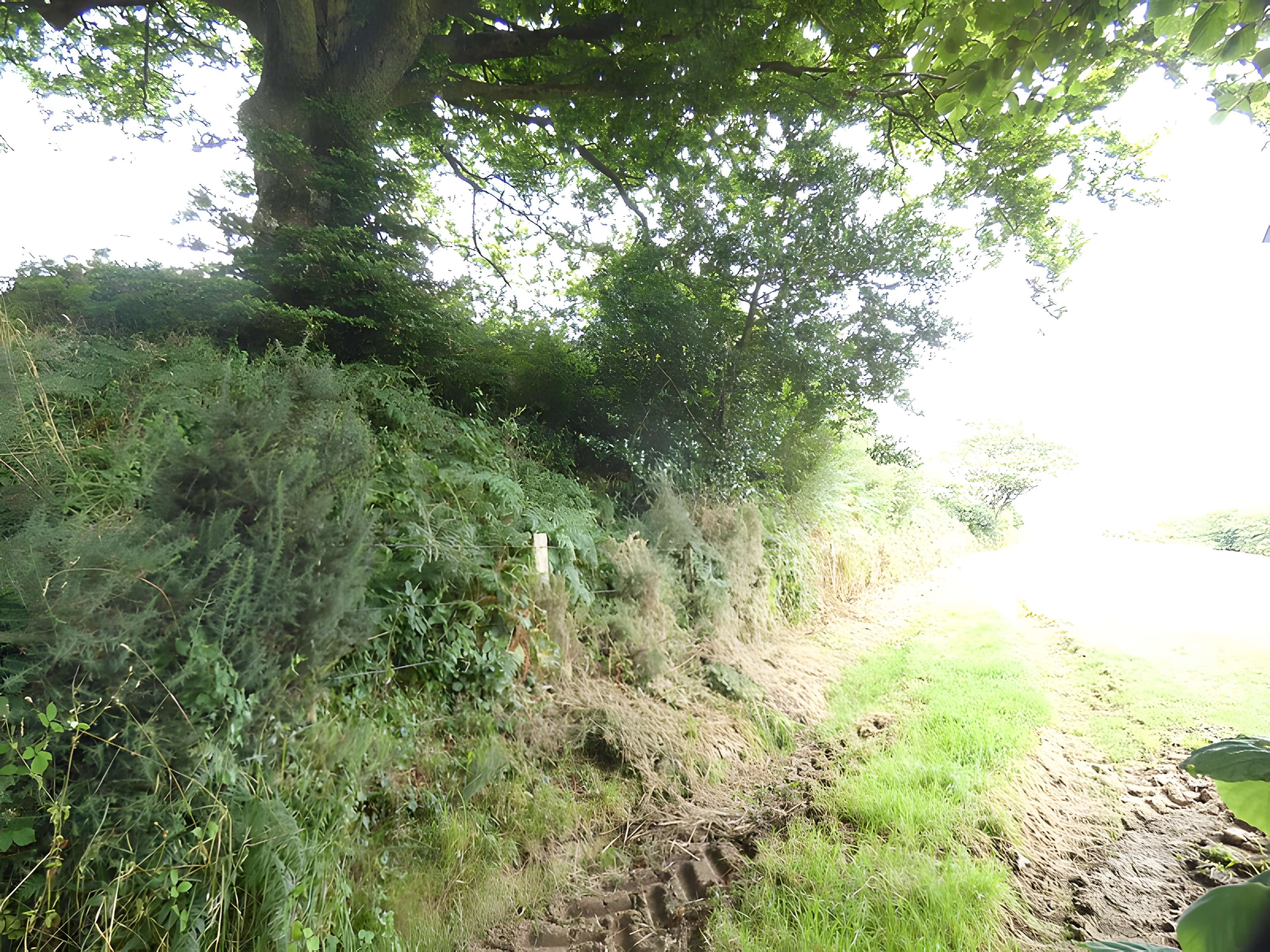 Domaine de Nacqueville (également sur commune de Querqueville)