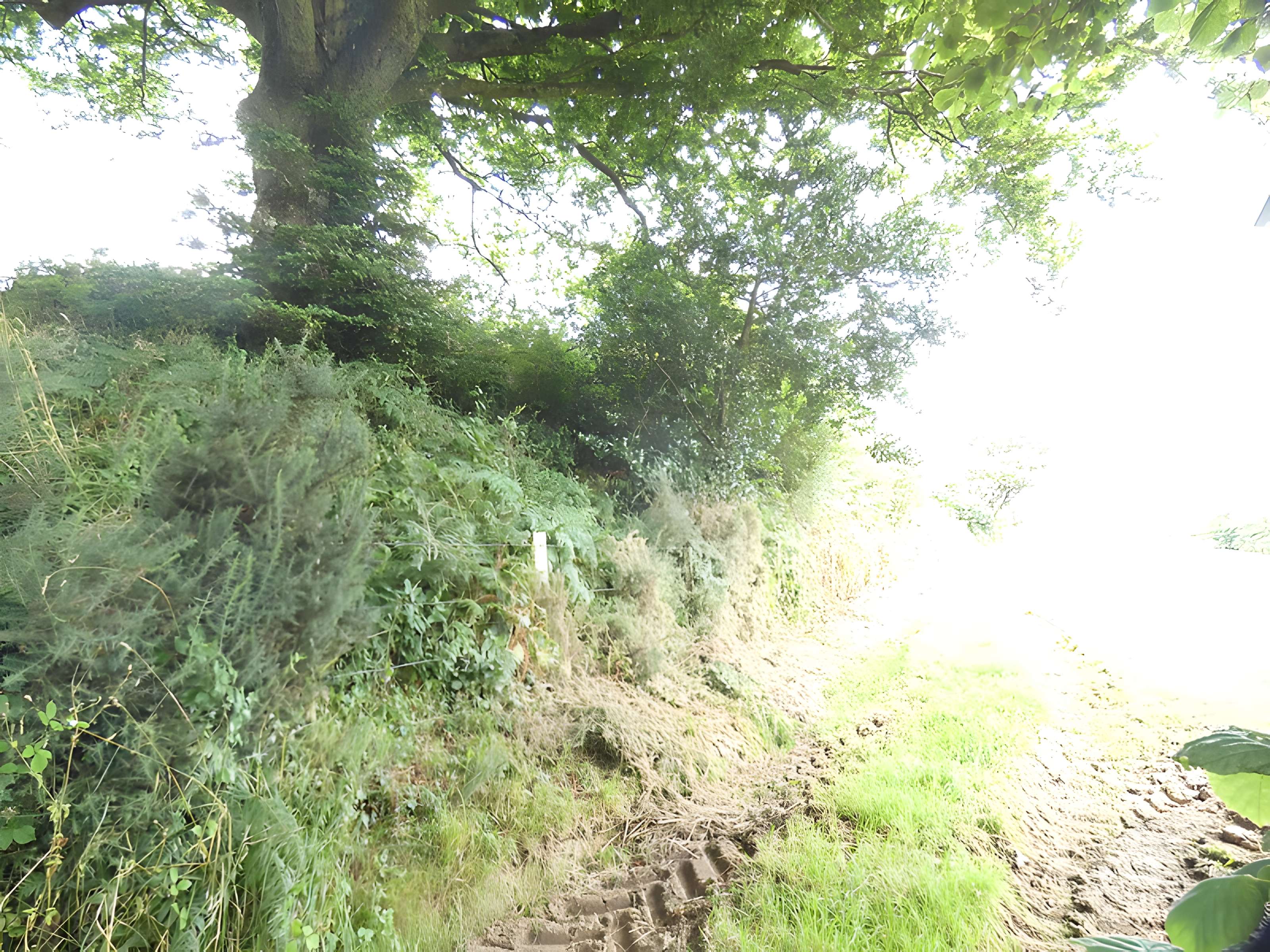 Domaine de Nacqueville (également sur commune de Querqueville)