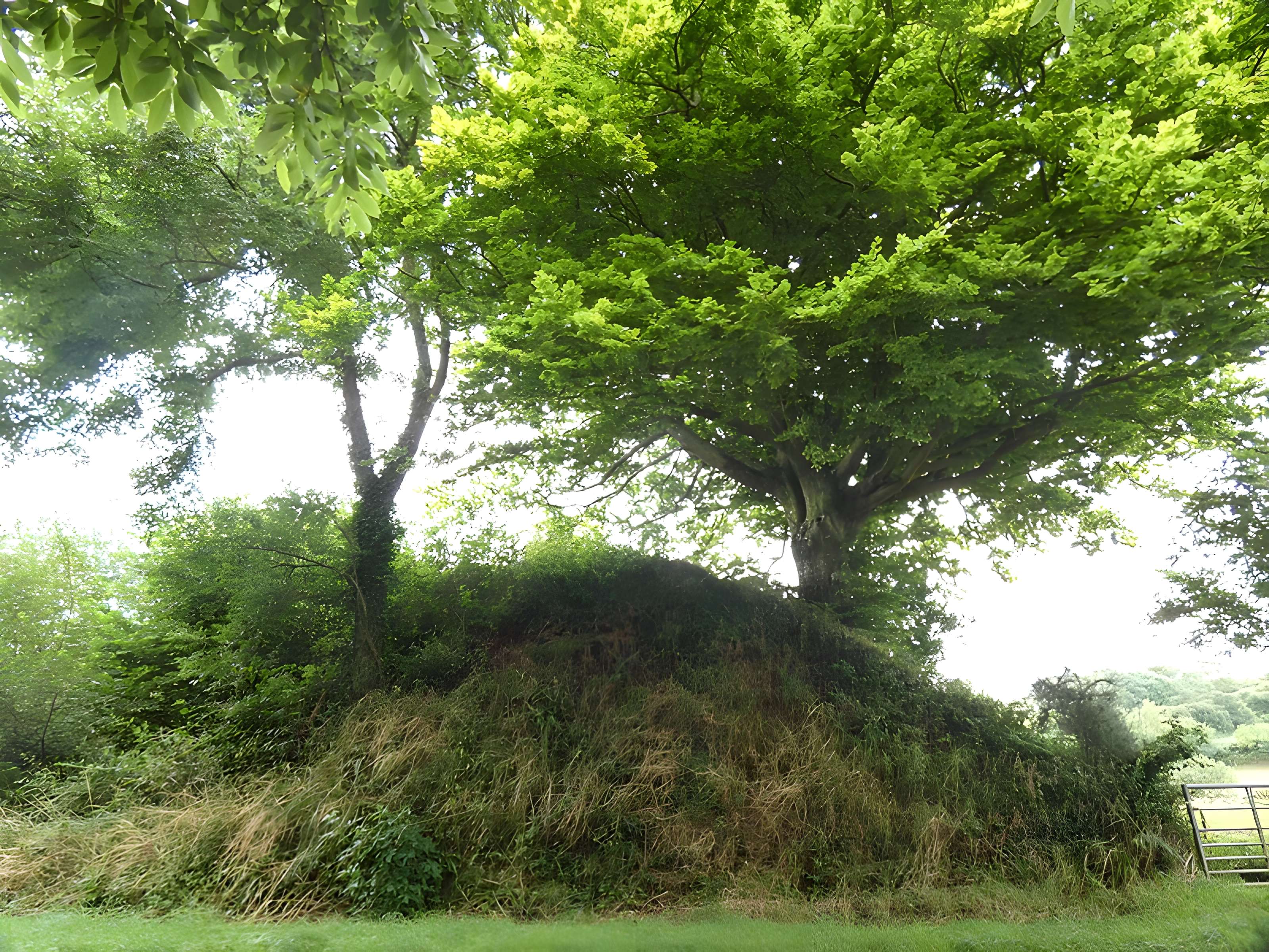 Domaine de Nacqueville (également sur commune de Querqueville)