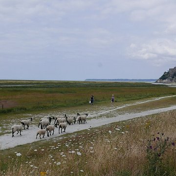 Abbaye et dépendances