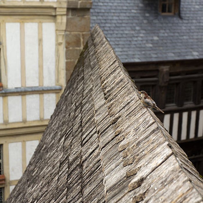 Photo de Maison Piquerel